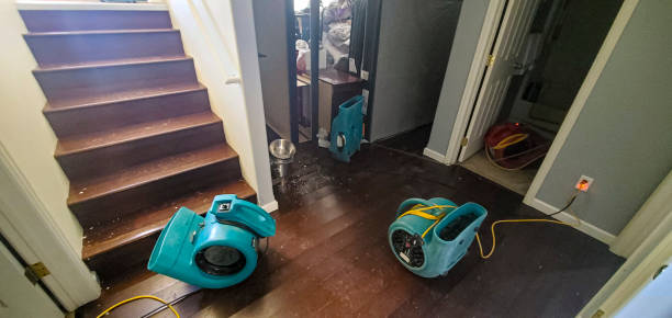 Best Fire Damage Restoration  in Laurel Bay, SC