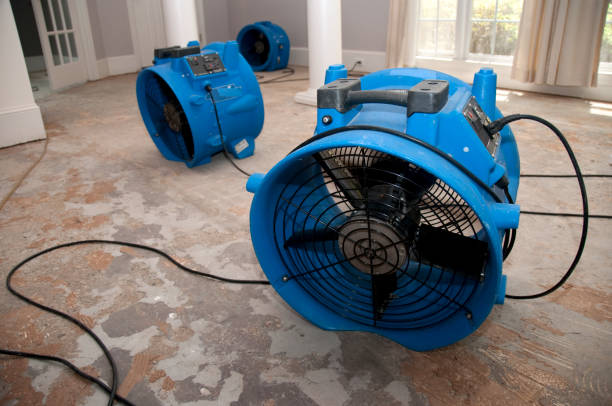 Best Water damage restoration near me  in Laurel Bay, SC