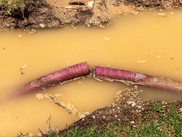 Best Carpet water damage restoration  in Laurel Bay, SC